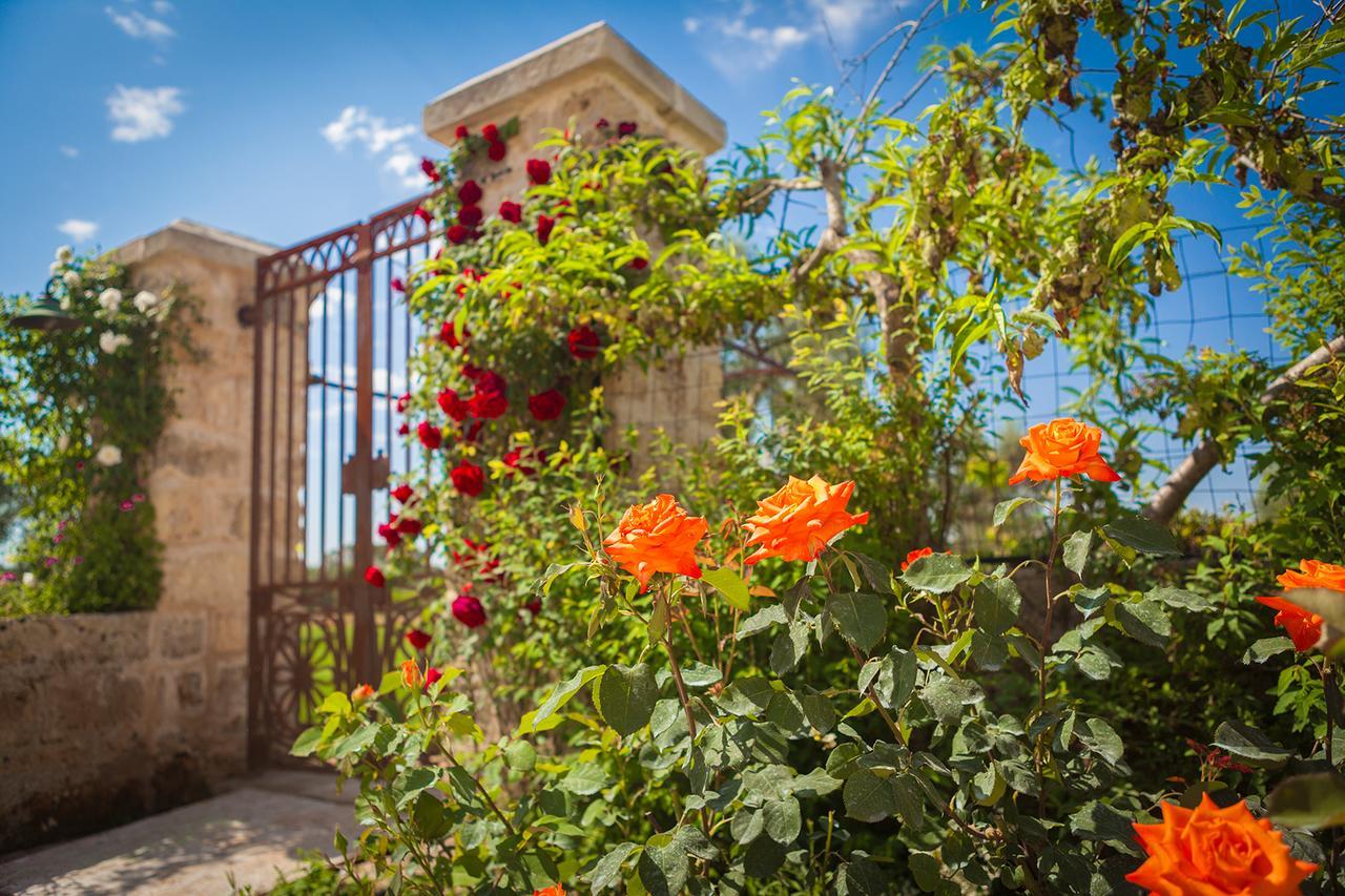 Agriturismo Li Calizzi Arte E Natura Vila Novoli Exterior foto